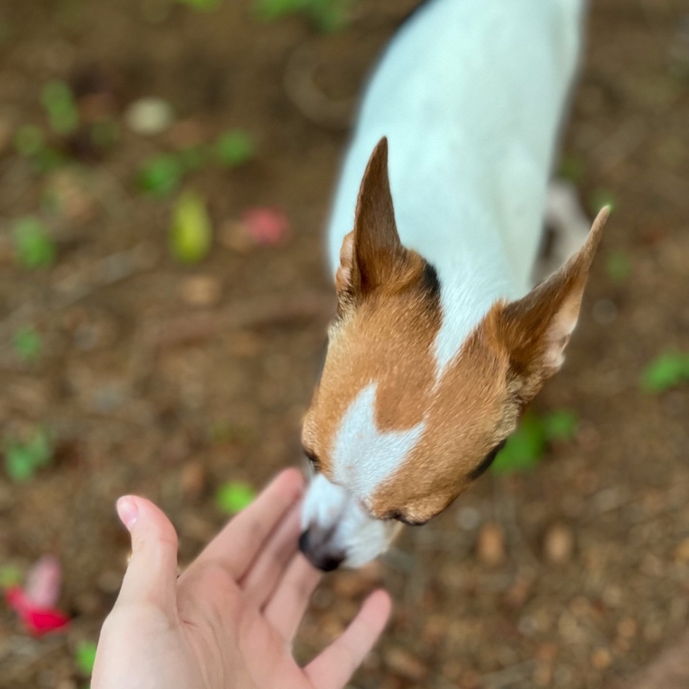 Meet your Posher, Kayla